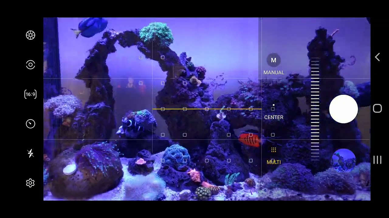 Picture of saltwater reef tank photography tips and tricks - no filter , no lens ...
