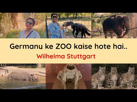 Video: Zoo sa Stuttgart