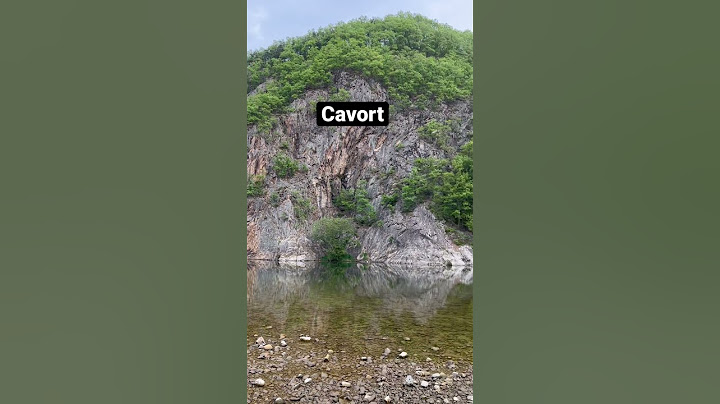 한양대편입영단어 cavort 신이나서 뛰어다니다#편입 #편입영어 #편입과외 #편입영어과외 #편입학원 #일반편입 #학사편입 #간호학과편입#영어공부#영어독해 #영어문법#영어단어#한양대