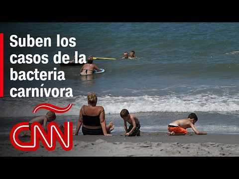 Suben los casos de la bacteria carnívora “Vibrio vulnificus” en EE.UU.: ¿Cómo evitar contraerla?