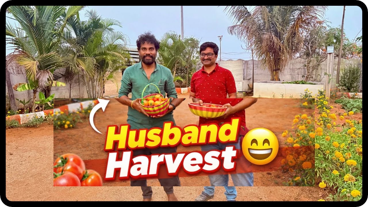 Fresh Farm Harvest | Get together | Party | 🌱When wife obsence | Telugu vlog |