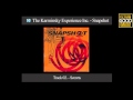 The Karminsky Experience Inc. - Snapshot (Full Album 2007)