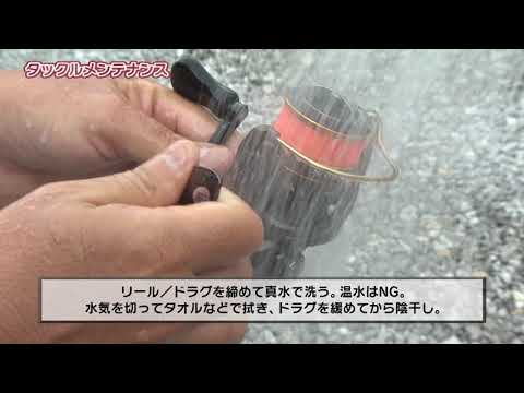【アジング初心者必見】シマノ初心者釣り教室 アジング編　～タックルメンテナンス～【釣り初心者】
