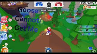 Bugs and Glitches I Found in Duck Duck!