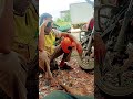 fanny  old man  Java larki ko pata kiya ha