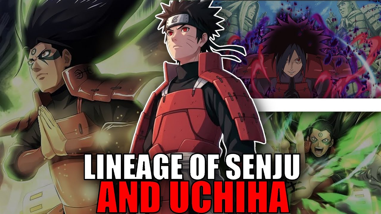 WHAT IF NARUTO HAD SENJU , UCHIHA BLOOD AND WAS THE BIGGEST PRODIGY IN KONOHA HISTORY?