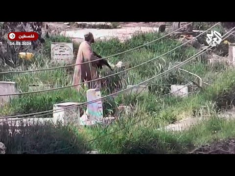 عاجل شاهد لحظة إطلاق النار على منفذ عملية مستوطنة دورون كادوش بالخليل 