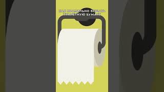 Как правильно вешать туалетную бумагу? #shorts