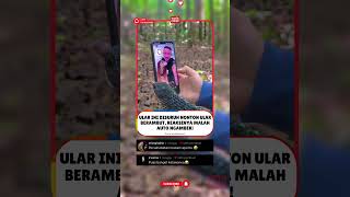 ULAR INI DISURUH NONTON ULAR BERAMBUT, REAKSINYA MALAH AUTO NGAMBEK!