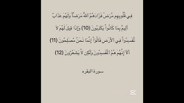 سورة البقره #explore #اكسبلور #quran #لايك #quran_kareem #sabscribe #fypシ #fypシ゚viral #fyp