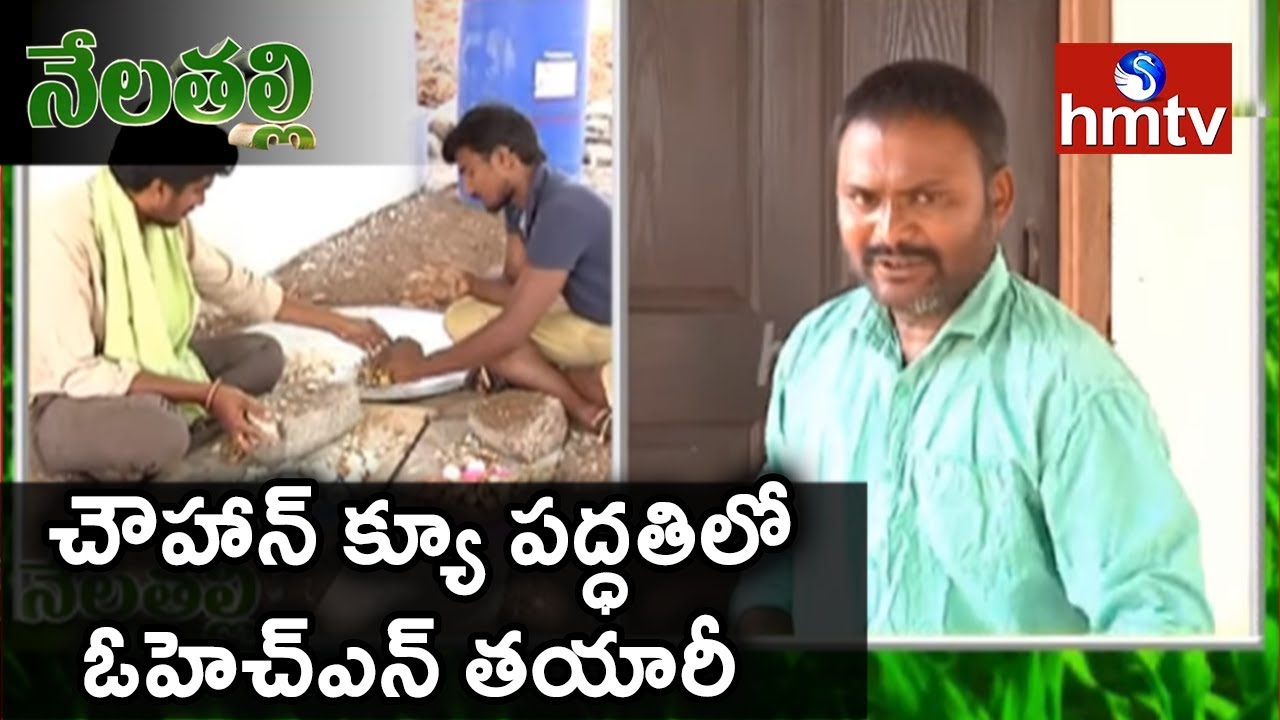 Chouhan–Q: Oriental Herbal Nutrient (OHN) Preparation By Expert Siva Prasad | Nela Thalli | hmtv