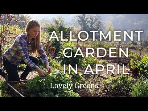 April