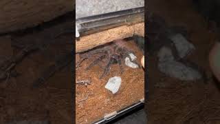 You Tryna Escape On Me ?