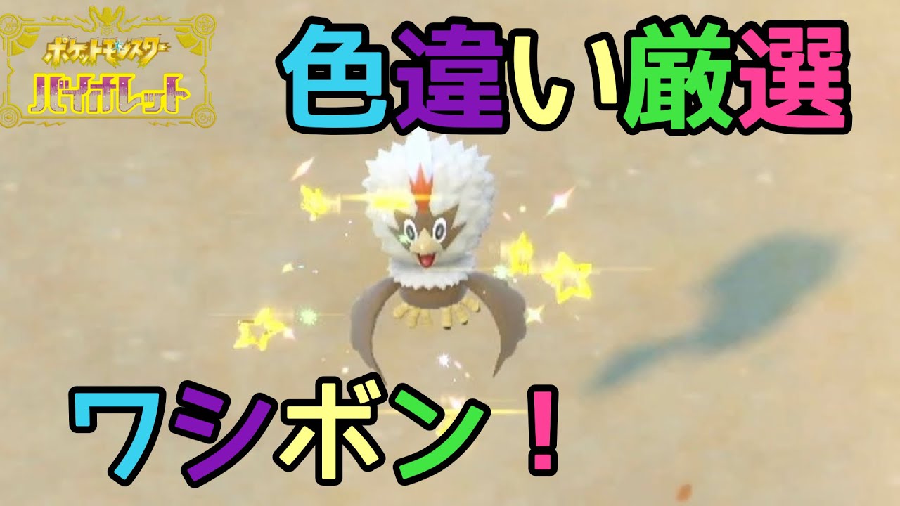 ポケモンsv 色違い厳選 3 バイオレット ワシボン Youtube