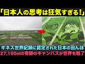 【海外の反応】「これは本当に田んぼか?」日本の田んぼに『鬼滅の刃』が出現!?ギネス認定の巨大アートに世界騒然