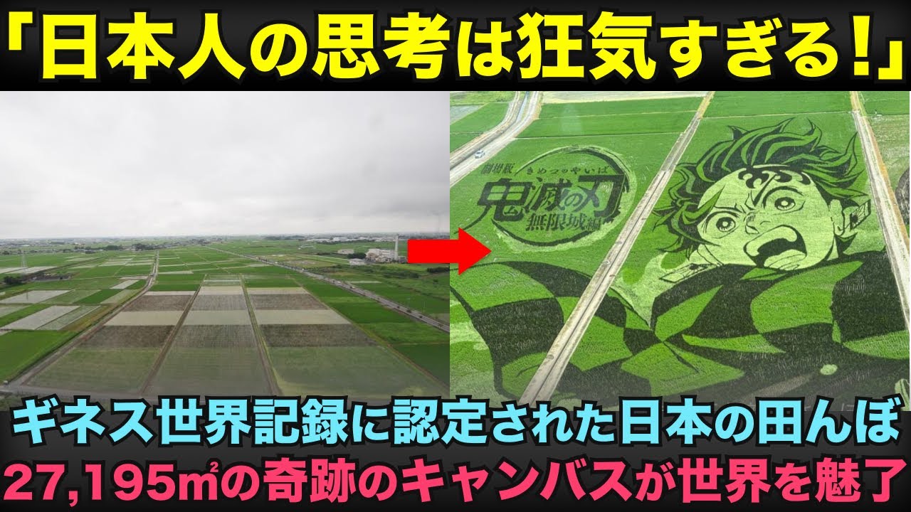 【海外の反応】「これは本当に田んぼか？」日本の田んぼに『鬼滅の刃』が出現！？ギネス認定の巨大アートに世界騒然