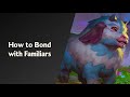 Bonding Familiars Guide | Witchspire