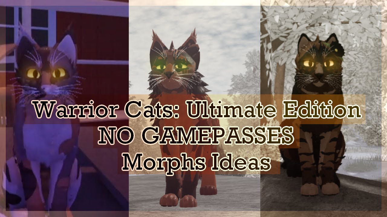 Warrior Cats: Skins Ideas! #13 (Roblox) 