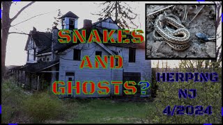 Snakes and Ghosts? Catching Snakes and Herping in New Jersey April 2024
