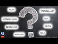 NETN FOM Tutorial SlideShow For SIW Final NETN FOM Tutorial SlideShow For SIW Final
