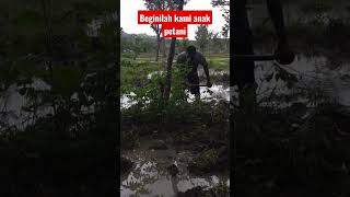 #petani #shorts #tiktok #traktor #