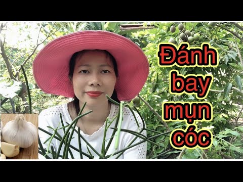 2 Cách Trị Mụn Cóc Bằng Tỏi và Nhựa Cây Xương Cá Rất Dễ