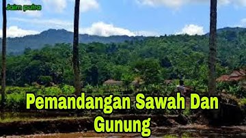 Pemandangan Sawah Dan Gunung (Suling Sunda)