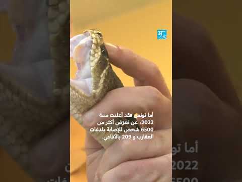 التغيرات المناخية وتزايد انتشار الثعابين والعقارب في شمال أفريقيا