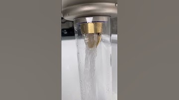 C19: Nắp Cống Ngăn Mùi Hôi Và Chuột Bọ Cao Cấp