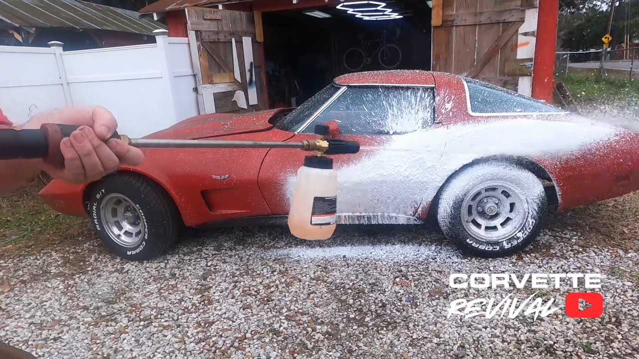 Decades of Mildew Blasted Off This Vintage Corvette | Satisfying Detail