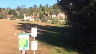 Disc Golf at Kit Carson Park Hole #1