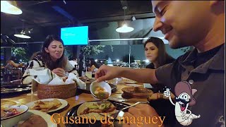 Trying Worm Tacos Guasanos De Maguey Tequila. Leon, Guanajuato