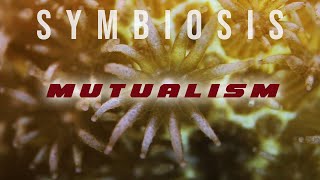 Symbiosis: Mutualism
