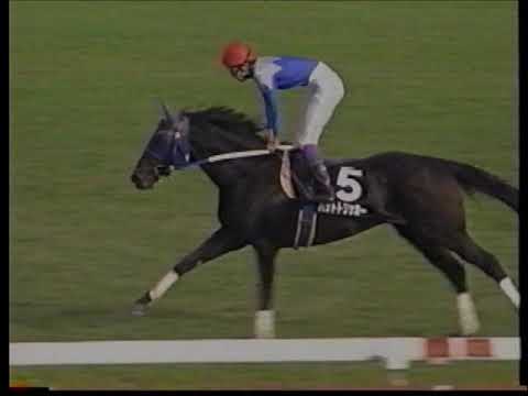 ハットトリッカー 武豊 桂川s 1800m 芝 Youtube