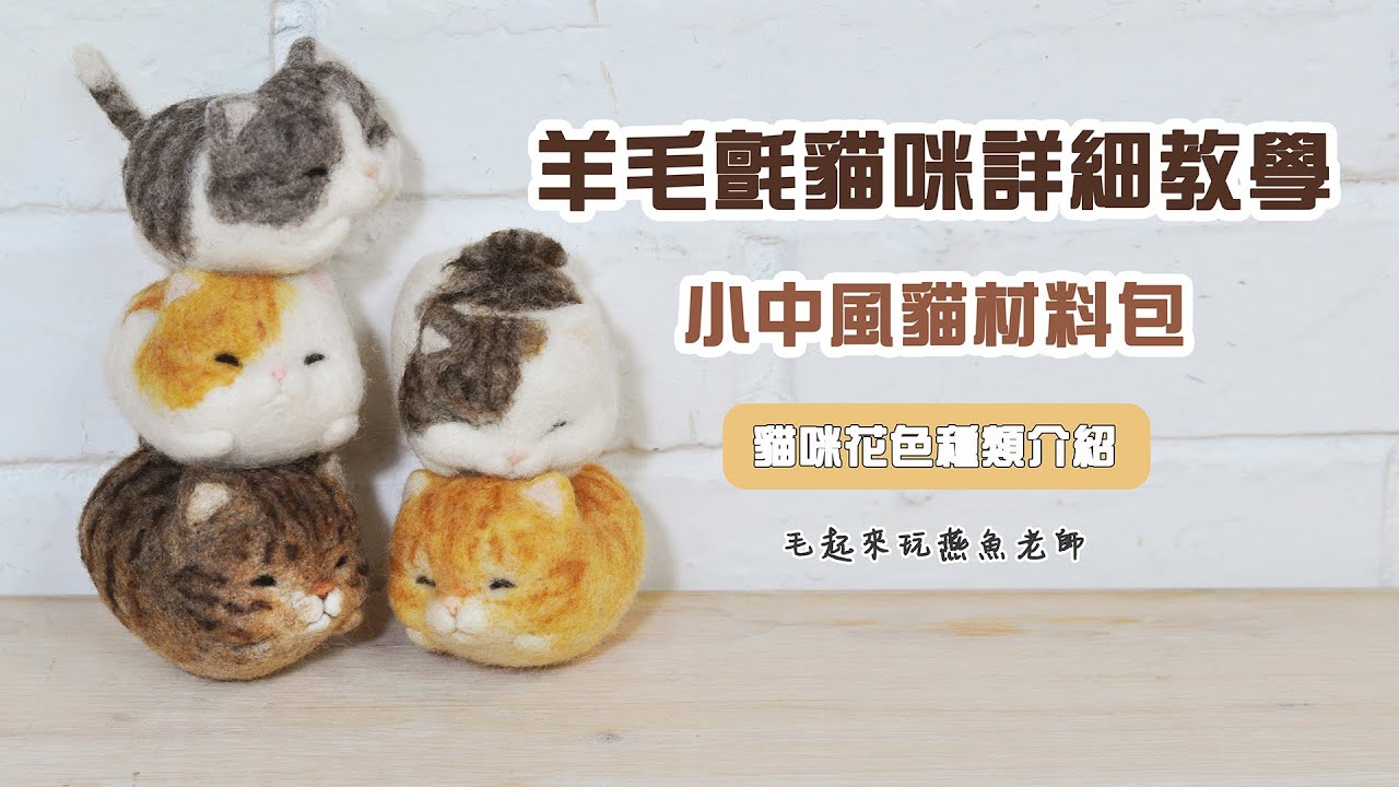 【毛起來玩】貓咪羊毛氈教學，小中風貓材料包