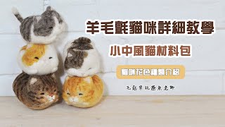 【毛起來玩】貓咪羊毛氈教學小中風貓材料包