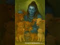 Do you love Animals? #LordShiva2. #youtubeshorts #SanatanDharma4. #viralvideo