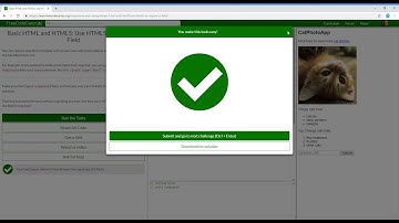 Basic HTML and HTML5  Use HTML5 to Require a Field   Learn freeCodeCamp21/28
