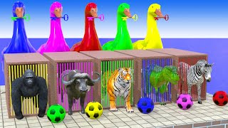 Long Slide Game With Gorilla Buffalo Tiger T-Rex Zebra - 3D Animal Game - Funny 3D Animals