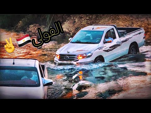 ترند اسوان