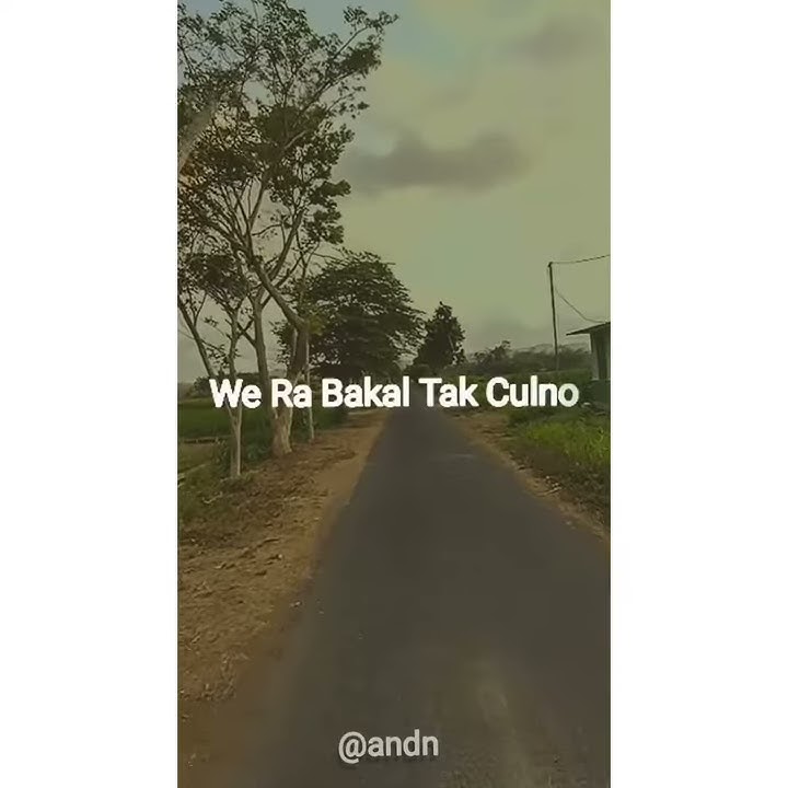 Story wa terbaru| Sampek tuek