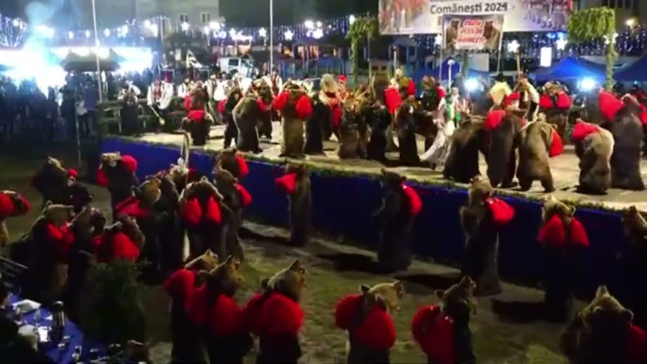 Ceata Ursilor din Moinesti la Comanesti 2024