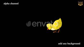 Yellow Chicken Walks and Pecks Alpha Matte | Motion Graphics - Videohive template