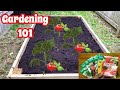 Beginner's Guide To Gardening 101 | Grow Your Own Food