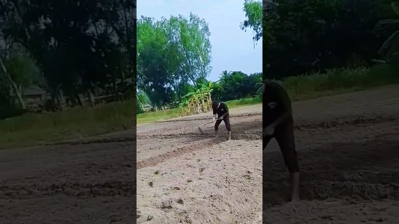 #i_love_you_2299 #i_love_you_1199 #lofi #vídeo #timepass#i_love_you_2299 #i_love_you_1199 #lofi