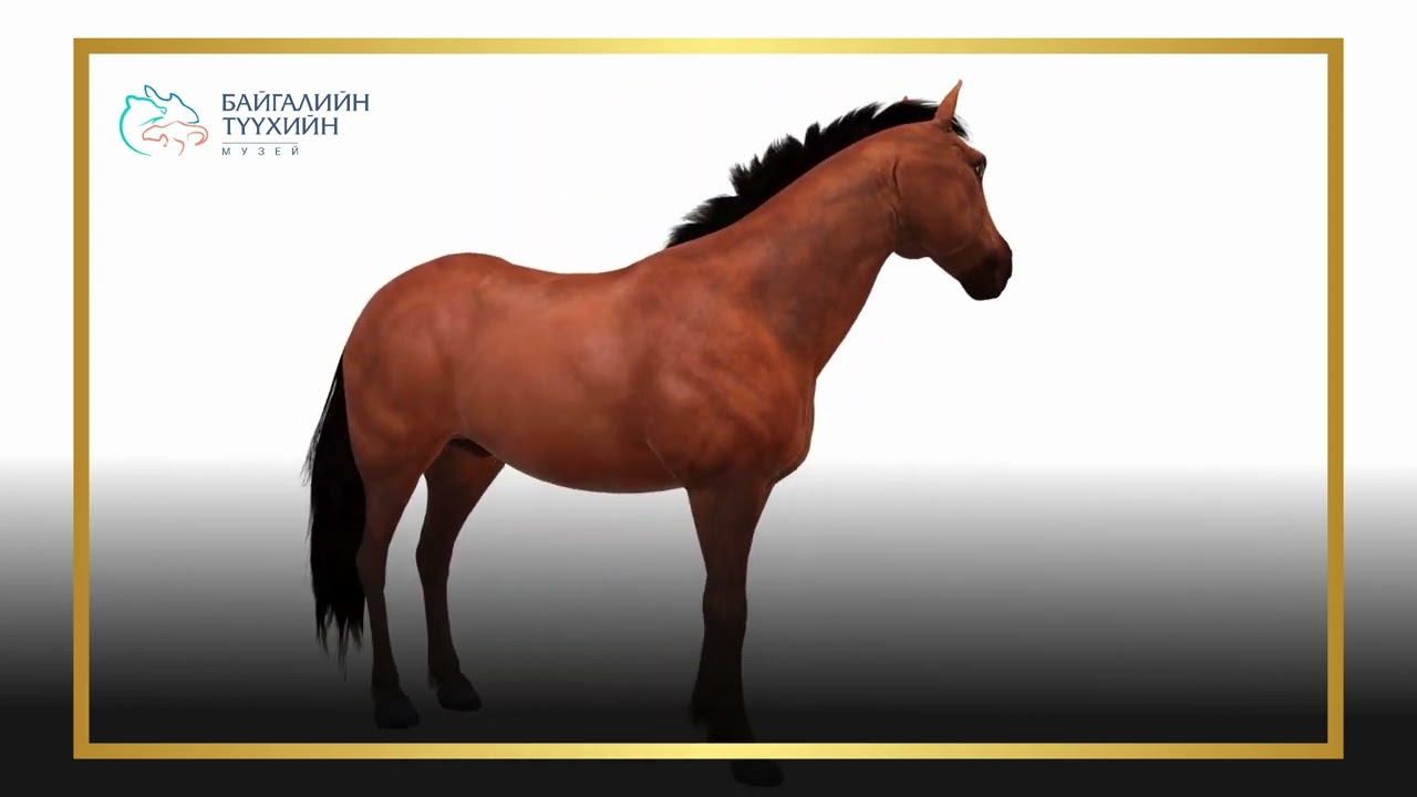 5. Хурдан морь шинжих мэдлэг (Соёлын биет бус өвийн Төлөөллийн жагсаалтад бүртгэгдсэн)