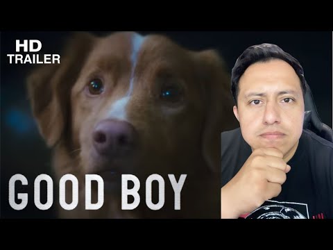 GOOD BOY Trailer Verdadero y ESTRENO