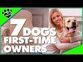 Top 7 Dog Breeds for First-Time Owners - Dogs 101