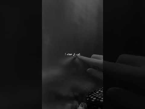 فين الحب الي عشنا فين الوعد الي خزيناه المصمم سابو