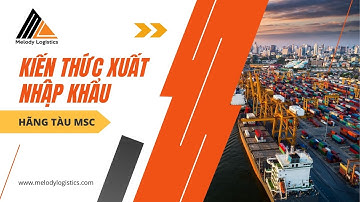MSC Hãng Tàu Vận Tải Lớn Nhất Thế Giới